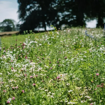 度假居 The Nook At The Heaning Estate 温德米尔